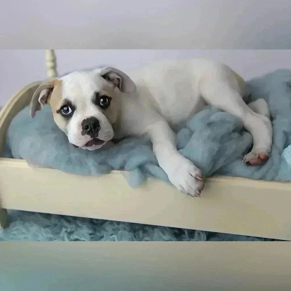 🆕Women’s Soft Cotton Tank Top - Picture 8 of 11